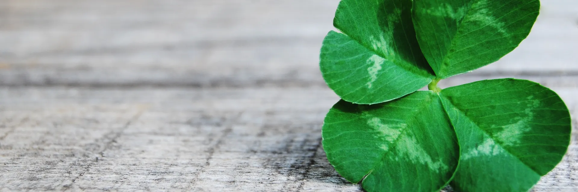 確かな実績と経験で、あなたのお悩みに丁寧にお応えします。お気軽にご相談ください。